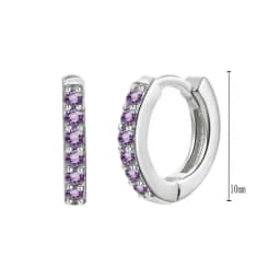 925 Sterling Silver Needle Niche Classic Colorful Zircon Hoop Earrings Women Delicate Charm Jewelry Huggie Earring Accessories