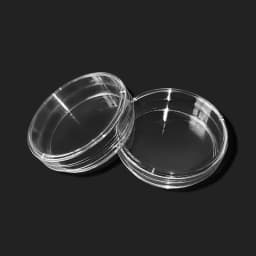 10PCS 60mm Clear Petri Dishes Affordable For Microorganisms Cell Plastic Clear Sterile Chemical Instrument