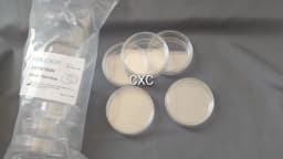 10PCS 60mm Clear Petri Dishes Affordable For Microorganisms Cell Plastic Clear Sterile Chemical Instrument