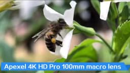 APEXEL 4K HD 100mm Macro Lens Professional Phone Camera Lens+CPL+Star Filters for iPhone X XS Max 11 Samsung S10 All Smartphone