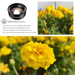 APEXEL 4K HD 100mm Macro Lens Professional Phone Camera Lens+CPL+Star Filters for iPhone X XS Max 11 Samsung S10 All Smartphone