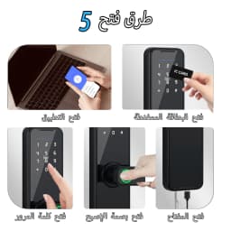 Tuya WiFi Smart Door Lock Biometric Fingerprint App Remote Unlocking Keyless Lock Electronic Door Lock