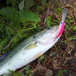TSURINOYA 57sp Minnow Wobblers Pike Fishing Lure Artificial Bait Hard Swimbait 57mm 8.2g Crankbaits Professional Fishing Lures