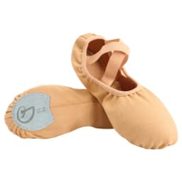Women Ballet Shoes Girls Professional Ballet Slippers Split Sole Dance Shoes Adult Modern Dance Training Shoes Yoga Indoor Shoes