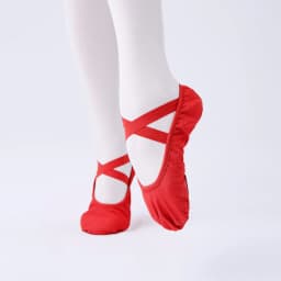 Women Ballet Shoes Girls Professional Ballet Slippers Split Sole Dance Shoes Adult Modern Dance Training Shoes Yoga Indoor Shoes