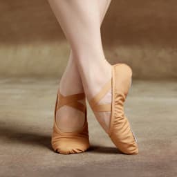 Women Ballet Shoes Girls Professional Ballet Slippers Split Sole Dance Shoes Adult Modern Dance Training Shoes Yoga Indoor Shoes