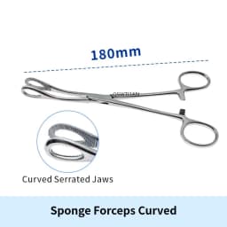 Sponge Forceps Straight/Curved Serrated Jaws Stainless Steel Dental Forceps Instrument