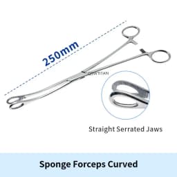 Sponge Forceps Straight/Curved Serrated Jaws Stainless Steel Dental Forceps Instrument