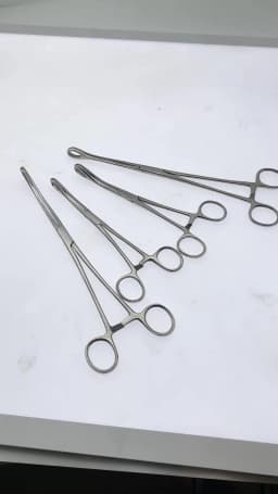 Sponge Forceps Straight/Curved Serrated Jaws Stainless Steel Dental Forceps Instrument
