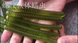 Fishing Lure Lugworm PVC Screw Thread Shape Grub 10cm Soft Bait PVC Worm Artificial Lures Lot 4 Pieces Sale