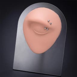 Brown Silicone Human Mouth Nose Ear Tongue Model Simulation Face Model with Display Stand Piercing Jewelry Display Teaching Tool