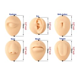 Brown Silicone Human Mouth Nose Ear Tongue Model Simulation Face Model with Display Stand Piercing Jewelry Display Teaching Tool