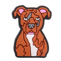 1PCS PVC Kawaii Animal Kinds Of Dog Mom Dad Sandals Shoe Decoration Charms Fit Wristbands Buckle Slipper Accessories Xmas Gifts