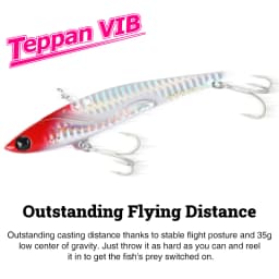 TSURINOYA 35g Teppan VIB Fishing Lure VECTOR DW38-C 105mm Vibration Shore Fishing Long Casting Metal Hard Bait Seabass Flounder