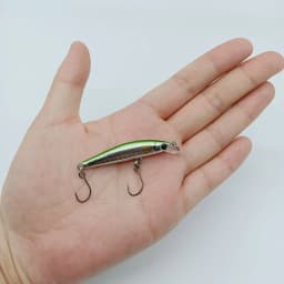 DUODUOYU 1PCS Floating Minnow Fishing Lures 5cm/2g Wobbler Artificial Bait With Double Single Hooks Bass Bait Goods for fishing