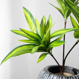 36cm 3 Heads Artificial Palm Tree Plastic Bamboo Branch Tropical Potted Plants Fake Grass For Home Desktop Plant Wall Decoration