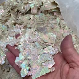 100g/Pack Nail Art Accessories Natural Abalone Shell Design Art Ornaments Irregular Holographic Nail Glitter Slices 3D Decals