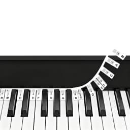 Free Paste Overlay Type 61 / 88 Keys Piano Note Marker Silicone Strips for Beginners / Kids, No Glue Practice Sticker