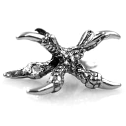 Stainless Steel Animal Eagle Head Claws Small Hole Beads Charms for Beaded Bracelet Necklace Jewelry Making Accessories 4Pcs