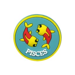 1pcs 12 Constellation Shoe Charms for Women Girls,Pisces Taurus Leo Shoe Decorations Accessories Pins for Kids,Clog Buckles
