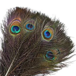10/20Pcs Natural Peacock Feathers Crafts DIY Plumas Wedding Party Feathers Hair Christmas Jewelry Making Decoration Accessories