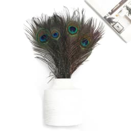 10/20Pcs Natural Peacock Feathers Crafts DIY Plumas Wedding Party Feathers Hair Christmas Jewelry Making Decoration Accessories