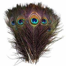 10/20Pcs Natural Peacock Feathers Crafts DIY Plumas Wedding Party Feathers Hair Christmas Jewelry Making Decoration Accessories