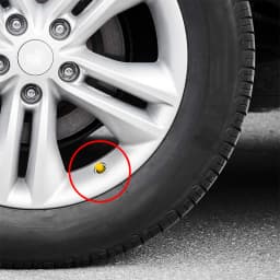 Universal Dustproof Caps Car Tire Valve Stem Caps Bolt-In Car Bike Wheel Tires Valves Tyre Stem Air Caps Auto Accessoires 20PCS