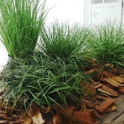 Fake Plant Simulated Onion Grass Diy Pseudograss Garden Decoration Plant Pot Fairy Garden Miniatures Home Decoration