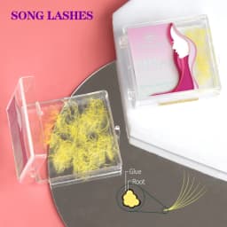 SongLashes 6D 0.07 Thickness Rainbow Promade Volume Fans 500 Colorful Loose Fans Pointed Base Eyelashes Extension
