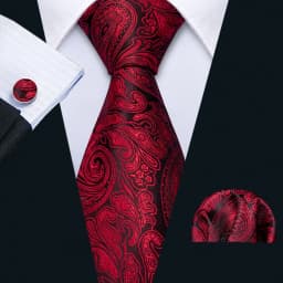 Fashion Men Tie Set Red Burgundy Solid Paisley Striped Plaid Floral Necktie Handkerchief Cufflinks Wedding silk Business