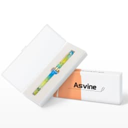 Asvine P20 Piston Filling Fountain Pen Acrylic Beautiful Patterns EF/F/M/ Stub Nib with Golden Clip Smooth Writing Gift Pen