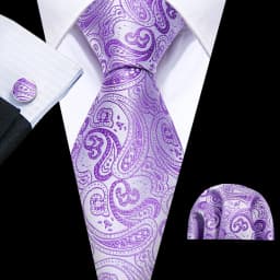 Male Gift Men Tie Set Purple Violet Solid Paisley Striped Wedding Business Tie for Man Necktie Handky Cufflinks Barry.Wang