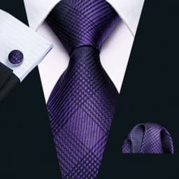 Male Gift Men Tie Set Purple Violet Solid Paisley Striped Wedding Business Tie for Man Necktie Handky Cufflinks Barry.Wang