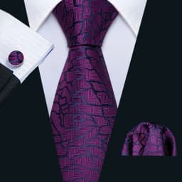 Male Gift Men Tie Set Purple Violet Solid Paisley Striped Wedding Business Tie for Man Necktie Handky Cufflinks Barry.Wang