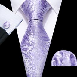 Male Gift Men Tie Set Purple Violet Solid Paisley Striped Wedding Business Tie for Man Necktie Handky Cufflinks Barry.Wang