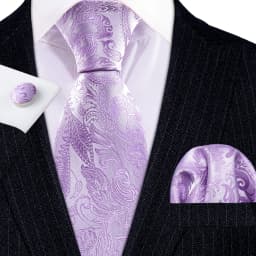 Male Gift Men Tie Set Purple Violet Solid Paisley Striped Wedding Business Tie for Man Necktie Handky Cufflinks Barry.Wang