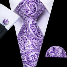 Male Gift Men Tie Set Purple Violet Solid Paisley Striped Wedding Business Tie for Man Necktie Handky Cufflinks Barry.Wang