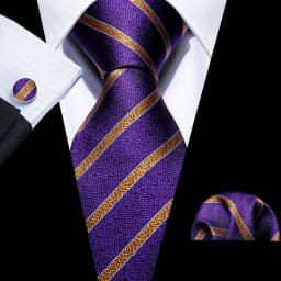 Male Gift Men Tie Set Purple Violet Solid Paisley Striped Wedding Business Tie for Man Necktie Handky Cufflinks Barry.Wang