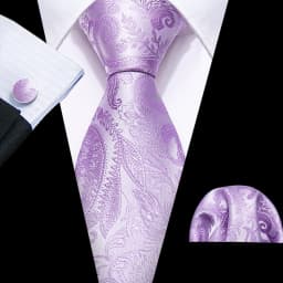 Male Gift Men Tie Set Purple Violet Solid Paisley Striped Wedding Business Tie for Man Necktie Handky Cufflinks Barry.Wang