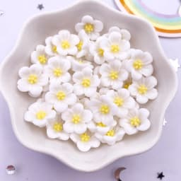 50Pcs 14mm Resin 3D Colorful Morning Glory Flower Gems Flatback Figurines Scrapbook Wedding Applique Home Decor Crafts OL708