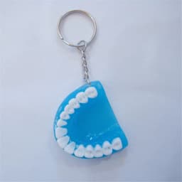 Fashion Creative Tooth Key Chain Resin Molar Upper Jaw Model Shape Denture Keychains Pendant Keyring Jewelry Gift 2023 New