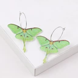 New Colorful Moth Butterfly Printing Acrylic Earrings for Women Cute Insect Insert Hoops Dangle Earrings Fashion Hanging Jewelry