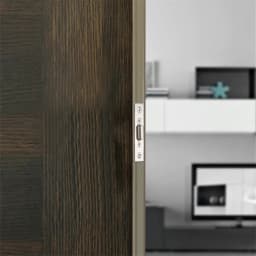 High-quality Hidden Stainless Steel Door Latches Cupboard Cabinet Roller Latch Lock Wooden Door Stops Home Furniture Hardware