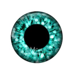 5 Pairs Gliter Doll Eyes Dragon Cat Animals Eye Pattern 8mm-40mm Round Glass Cabochon Dome Demo Flat Back Making Findings