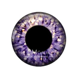 5 Pairs Gliter Doll Eyes Dragon Cat Animals Eye Pattern 8mm-40mm Round Glass Cabochon Dome Demo Flat Back Making Findings