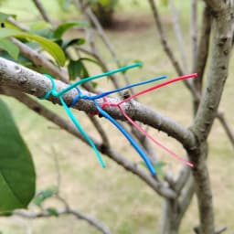 100PCS Gardening Cable Ties Reusable Oblate Iron Wire Twist Tie for Flower Plant Climbing Vines Multifunction Coated Fix Strings