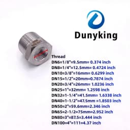 Tonifying Heart Reducer Bushing 1/8" 1/4" 3/8" 1/2" BSP Male/Female Thread SS304 Stainless Steel Pipe Fittings For Water Gas Oil
