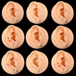 1 Box Bioplast Flexible Zircon Ear Tragus Helix Cartilage Cz Lobe earrings Piercing Gem Flower Heart Nose Ring Labret Lip Stud