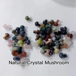 10Pcs Natural Crystal Mini Mushroom Gem Quartz Mushroom Mineral Healing Reiki Home Decoration DIY Crafts Gift Aquarium Stone
